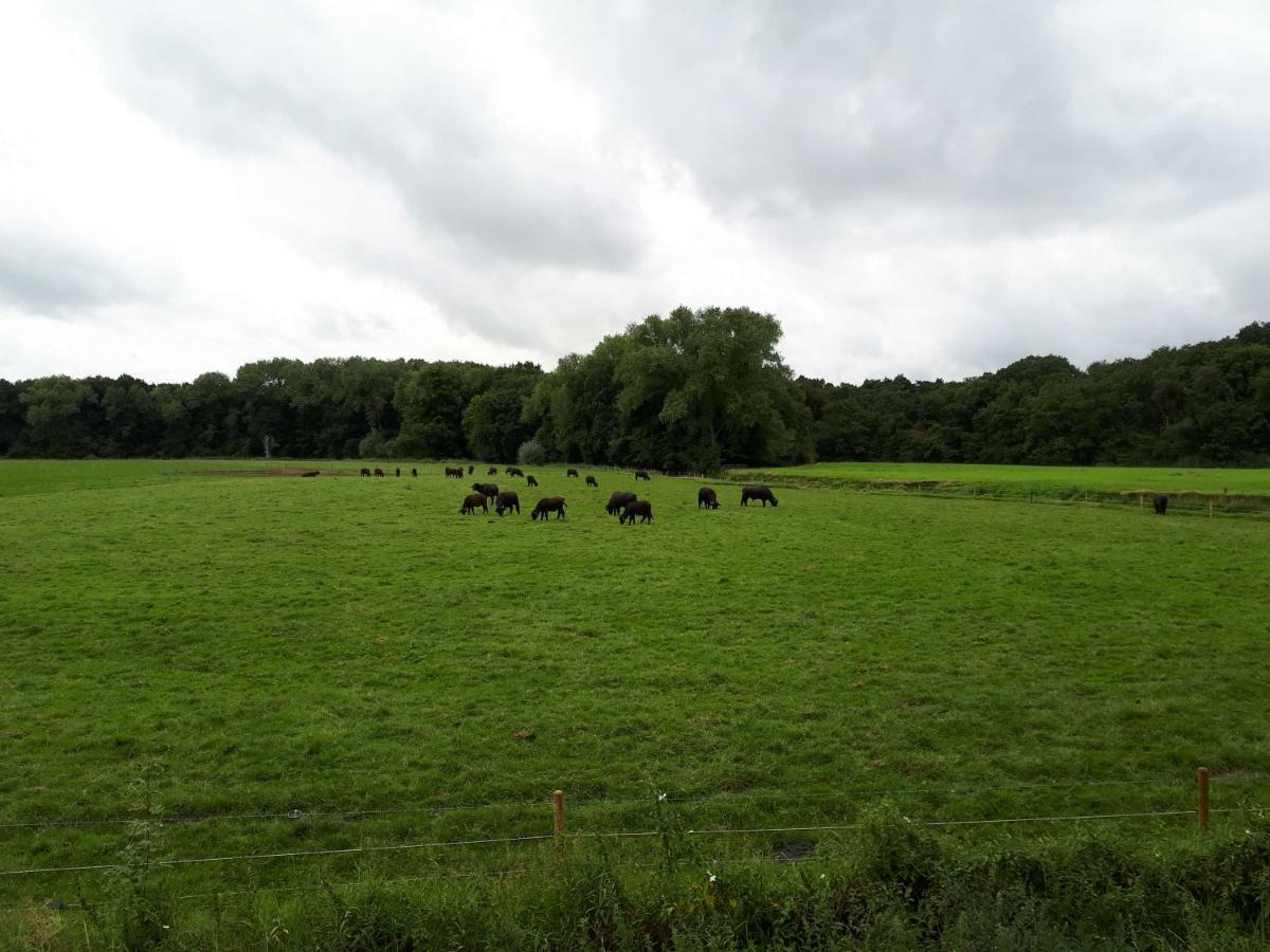 Gastenverblijf 'T Nagtegaeltje Sint-Oedenrode ภายนอก รูปภาพ