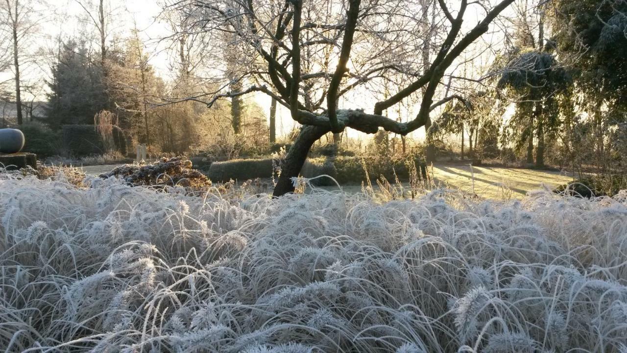 Gastenverblijf 'T Nagtegaeltje Sint-Oedenrode ภายนอก รูปภาพ